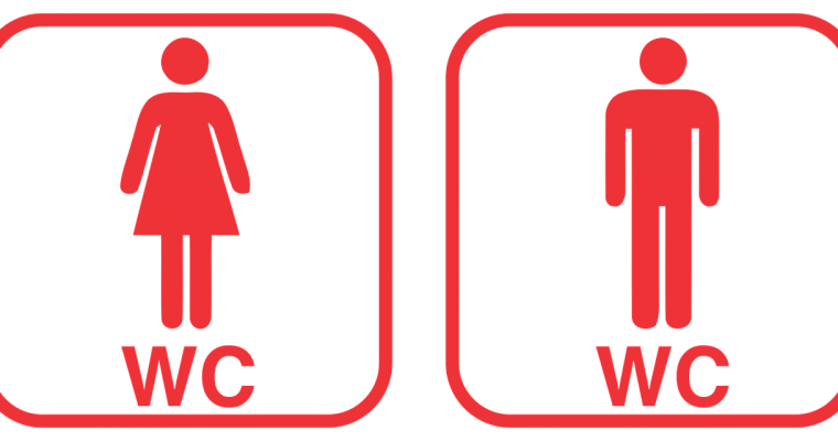 Okładka artykułu Kilka słów o sprawach w toalecie
