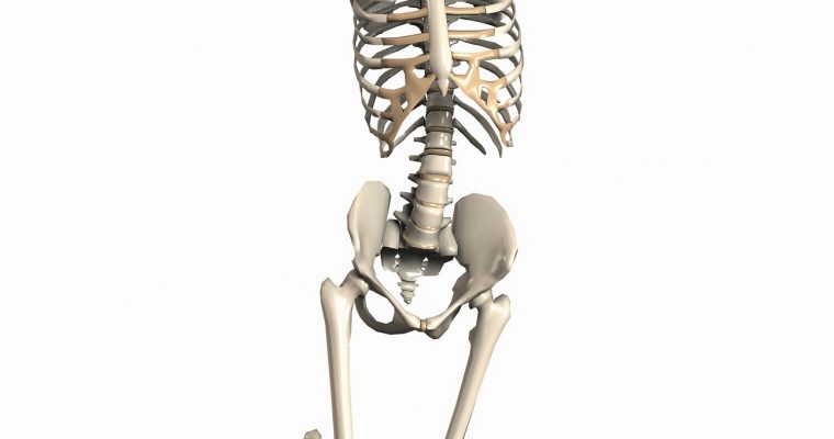 Okładka artykułu Ból spojenia łonowego w ciąży i po porodzie